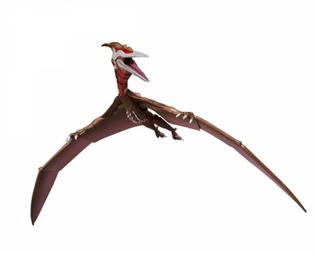 Bestes Angebot ⌛ Bandai Tamashii Nations Godzilla: Singular Point - Rodan - 2021 S.H. MonsterArts Actionfigur 🌟